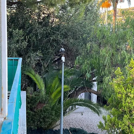 Petit Saint Croisette Канны